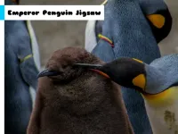 Emperor Penguin Jigsaw