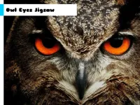 Owl Eyes Jigsaw