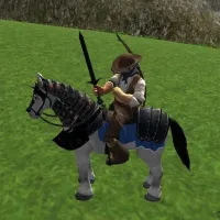 Reiten Simulator