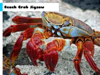 Beach Crab Jigsaw