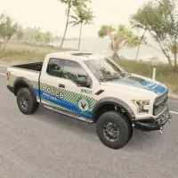 Ford F 150 Jigsaw