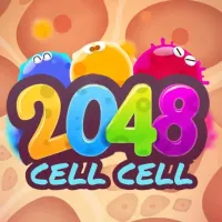 2048Cell