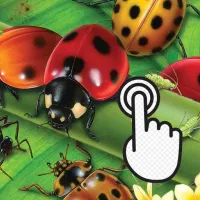 Ladybug Clicker