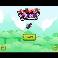 Flying Ninja