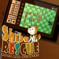 Shiba Rescue : Dogs and Puppies