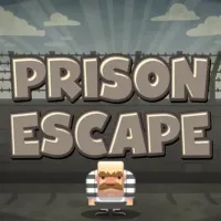 Prison Eskape