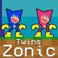 Twins Zonic