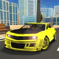 City Car Driving 3d