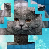 PicPu - Cat Puzzle