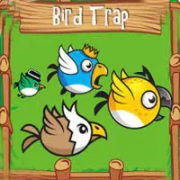 Bird Trap