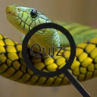 Wildlife Animal Trivia:Test Your Knowledge!