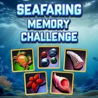 Seafaring Memory  Challenge