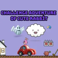 Challenge adventure of cute rabbit