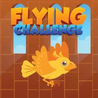 Flying Challenge