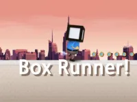 Box Runner