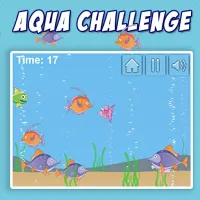 Aqua Challenge