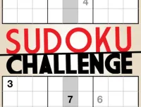 Sudoku Challenge