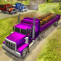 City Cargo Trailer Transport