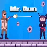 Mr Gun