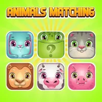 Animals Memory Matching