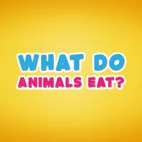 What do animals eat