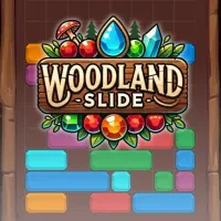 Woodland Slide