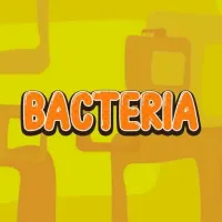 Bacteria