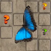 Butterfly Memory Match