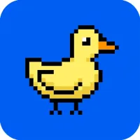 Duck Run