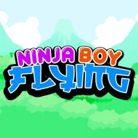 Ninja Boy Flying