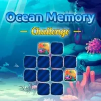 Ocean Memory Challenge