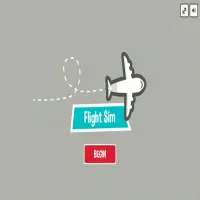 Flight Sim Pro