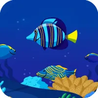 Ocean Math Game Online