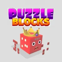 Puzzle Blocks