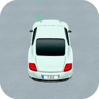 Real Car Parking 3D